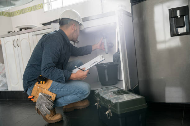 Best Residential Plumbing Services  in Orono, MN